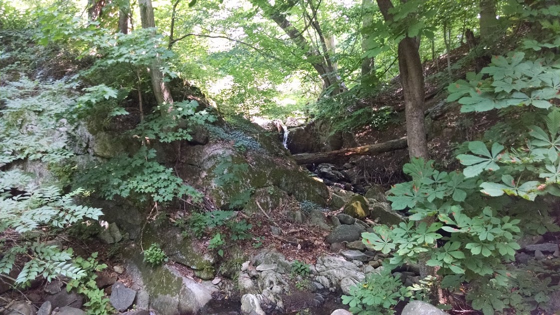 This stream is one of the many delightful surprises within the grounds of Sunnyside (Photograph by author).