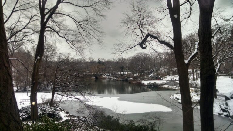 Central Park Snow